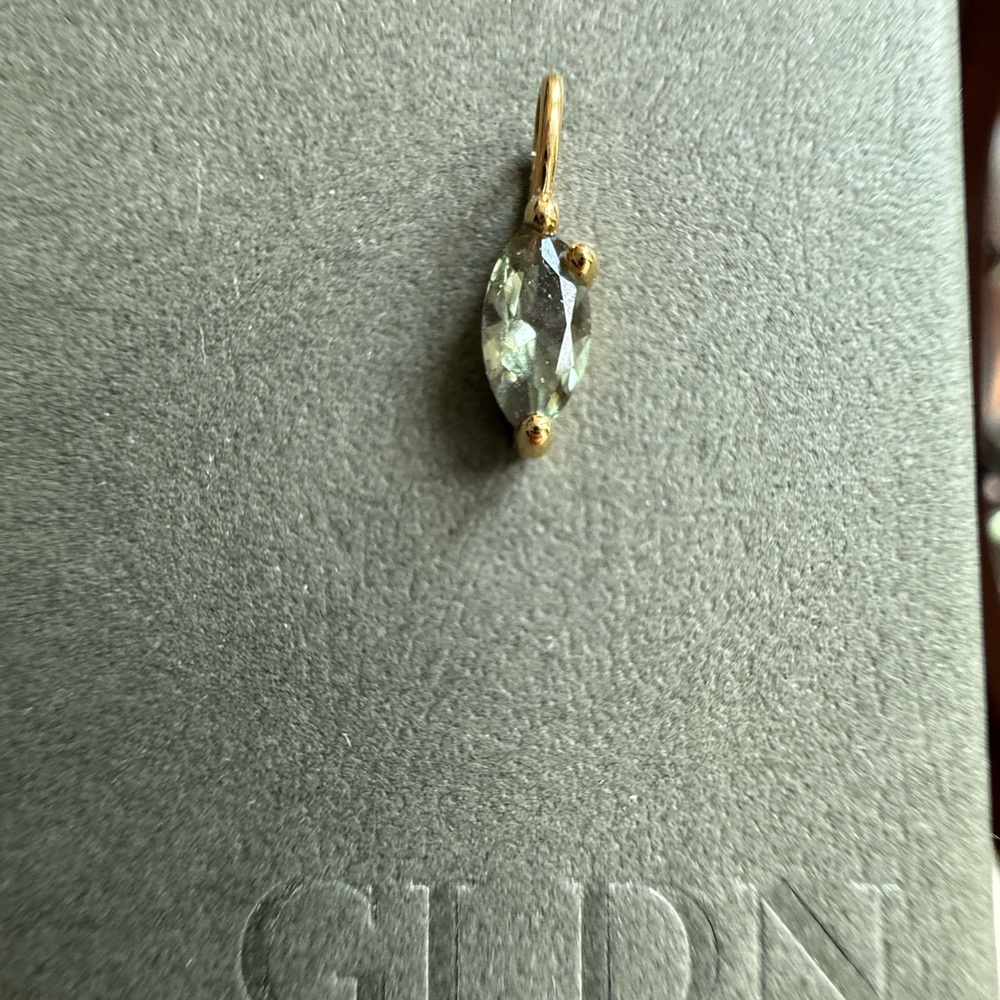 GLDN 10k solid gold leaflet charm